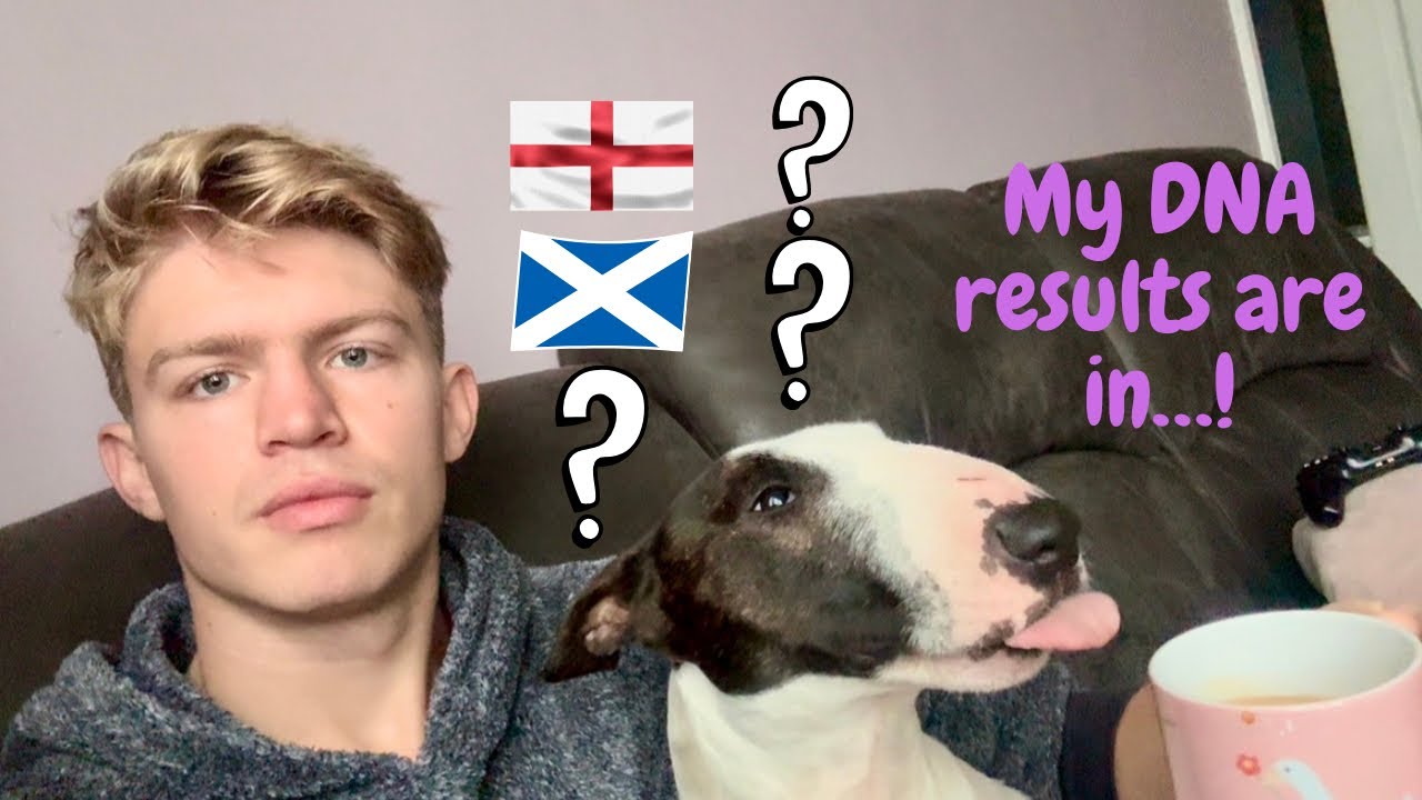 Я сделал ДНК-тест… вот результаты!