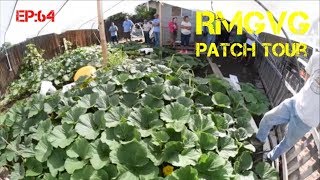 Colorado Giant Pumpkin Patch Tour EP:64