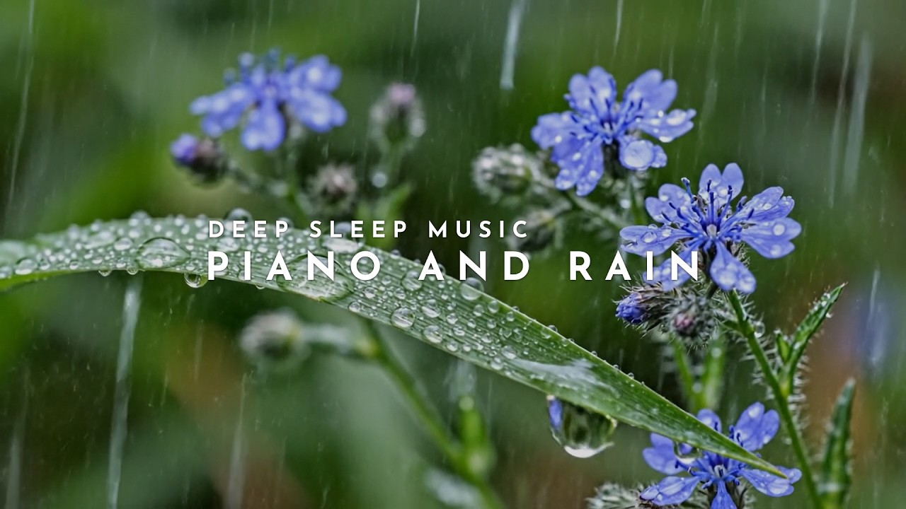 Gentle Rainfall on Leaves 🌧️ Soft Piano Music to Break Insomnia & Anxiety