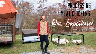 Processing Meat Chickens for the First Time: Our Experience