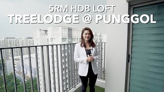 Punggol Treelodge @ Punggol 5RM HDB Loft - Singapore HDB Property For Sale | Serene Lim