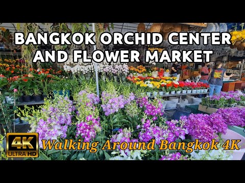 Video: Etnografisch dorp en orchideetuin (Phuket Orchid Garden & Thai Village) beschrijving en foto's - Thailand: Phuket Island