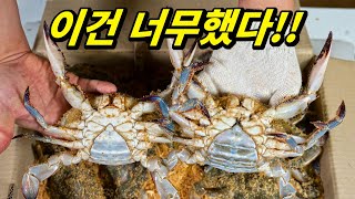 I tried the sawdust swimming crab whose price was ruined. Honest review