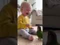 💥 Baby Says “Bang!” — Parrot’s Dramatic Reaction 😂🦜 #shorts