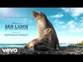 Raphaelle Thibaut - Galapagos Islands (From "Disneynature: Sea Lions of the Galapagos"/Audio Only)