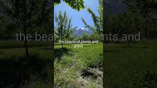the real beauty of world