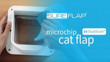 How to clean your SureFlap DualScan Microchip Cat Flap