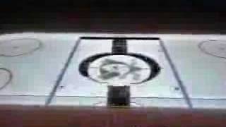 The intro theme song to mighty ducks