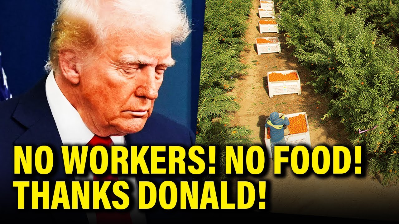 Trump deportation Plan BACKFIRES IN HIS FACE as America suffers