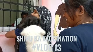 shinu ka vaccination #vlog13 #nirmalkarfamilycgvlog19 #pets