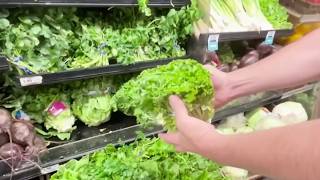 Is salad safe to eat? What to know as diarrhea parasite outbreak keeps growing | NBC4 Washington
News4’s Susan Hogan has the latest on cyclosporiasis.
NBC4 Washington / WRC-TV is the No. 1 broadcast television station and the home of the most-watched local news in Washington, D.C. The station leads the market in providing timely and breaking news and information in text, video and graphics across more than 15 platforms including NBCWashington.com, the NBC4 app, NBC4 streaming news channel, newsletters, and social media.
FOLLOW & STREAM NBC4 WASHINGTON
NBC4 News Streaming channel: https://www.nbcwashington.com/watch/
Xumo Play: https://play.xumo.com/live-guide/nbc-washington-dc-news
Roku: https://therokuchannel.roku.com/watch/021707311e0b595597f97a389e0051e6/nbc-washington-dc-news
Also available on Pluto TV, Freevee, Google TV, TCL, Local Now, and Samsung TV Plus.
More here: https://www.nbcwashington.com/watchlive/
Instagram: http://nbc4dc.com/3HxYkYH
Threads: http://nbc4dc.com/ZYZAAHJ
Facebook: http://nbc4dc.com/iD1GvRQ
X: http://nbc4dc.com/APF7vQM
TikTok: http://nbc4dc.com/pg5Nx67
VISIT OUR SITE: https://www.nbcwashington.com/
DOWNLOAD OUR FREE APPS: https://www.nbcwashington.com/products/
WATCH NBC4 LIVE ON AMAZON FIRE TV: https://www.nbcwashington.com/firetv/
WATCH NBC4 LIVE ON ROKU: https://www.nbcwashington.com/roku/d Is salad safe to eat? What to know as diarrhea parasite outbreak keeps growing | NBC4 Washington