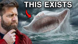 5 Deadly Sea Monsters That Actually Exist