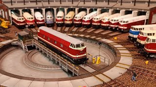 😎Piko Elriwa BR 118🚂Limitiert auf 500 Stück 71042+LPG🐄🐑Fahrzeuge Roter Oktober  Modelleisenbahn🚂⚒️