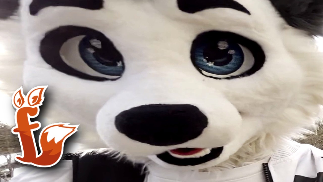 Walking Through Furvester 2024