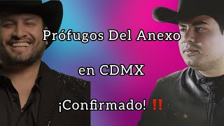 Prófugos Del Anexo en CDMX 🤠 CONFIRMADO 🔥