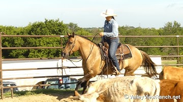 Grace - working cows! - ValleyViewRanch.net