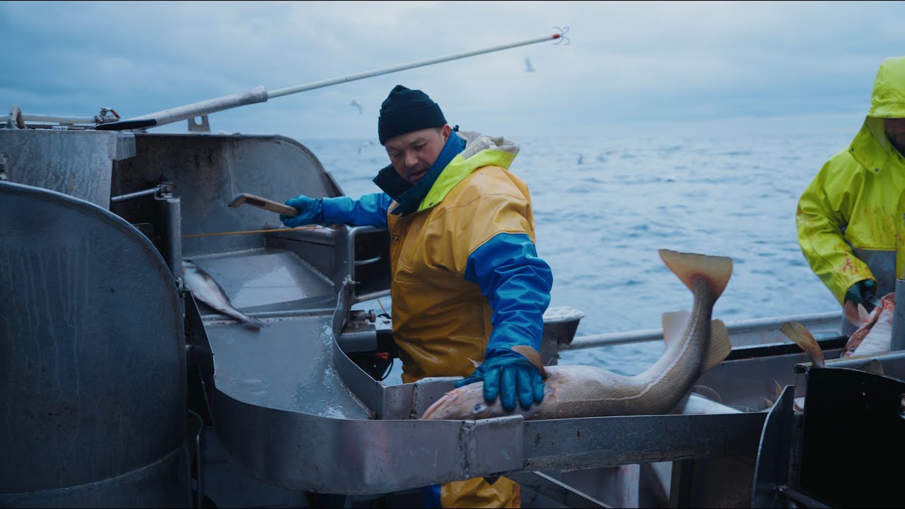 Know your fisherman ! Teaser Trailer  (Holmen & Robertsen)