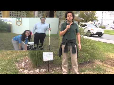 West Miami Middle School- Fairchild Challenge 7 Garden Video