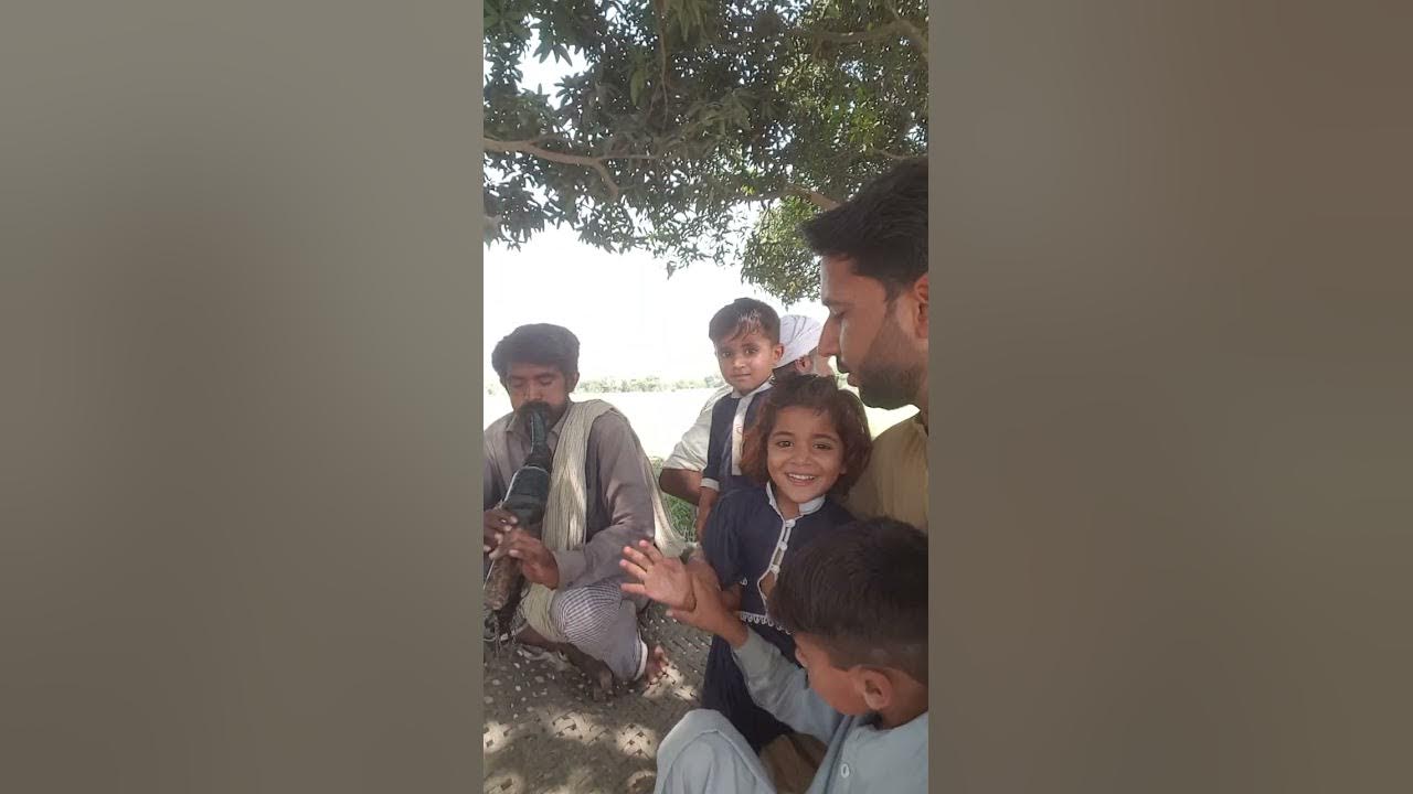 how to catch snake - YouTube