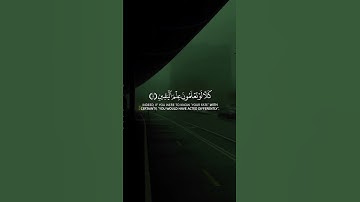 سورة التكاثر Surah At-Takathur @nocreditquranoverlay #allah #quran #islam #الله #قرآن #اسلام