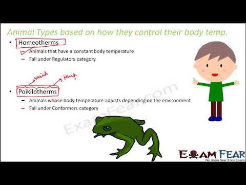Biology Organisms & Population part 14 (Homeotherms, Poikilotherms,  Ectotherms) class 12 XII - YouTube