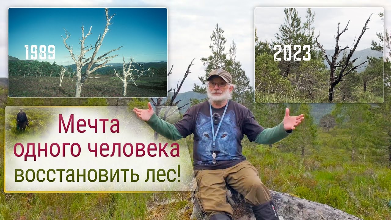 Мечта человека - восстановить лес! - YouTube