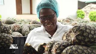 Made In Africa | Bertille Guedegbe, une vie pour l'ananas [Reportage]