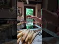 Pour prolonger la saison des asperges !
