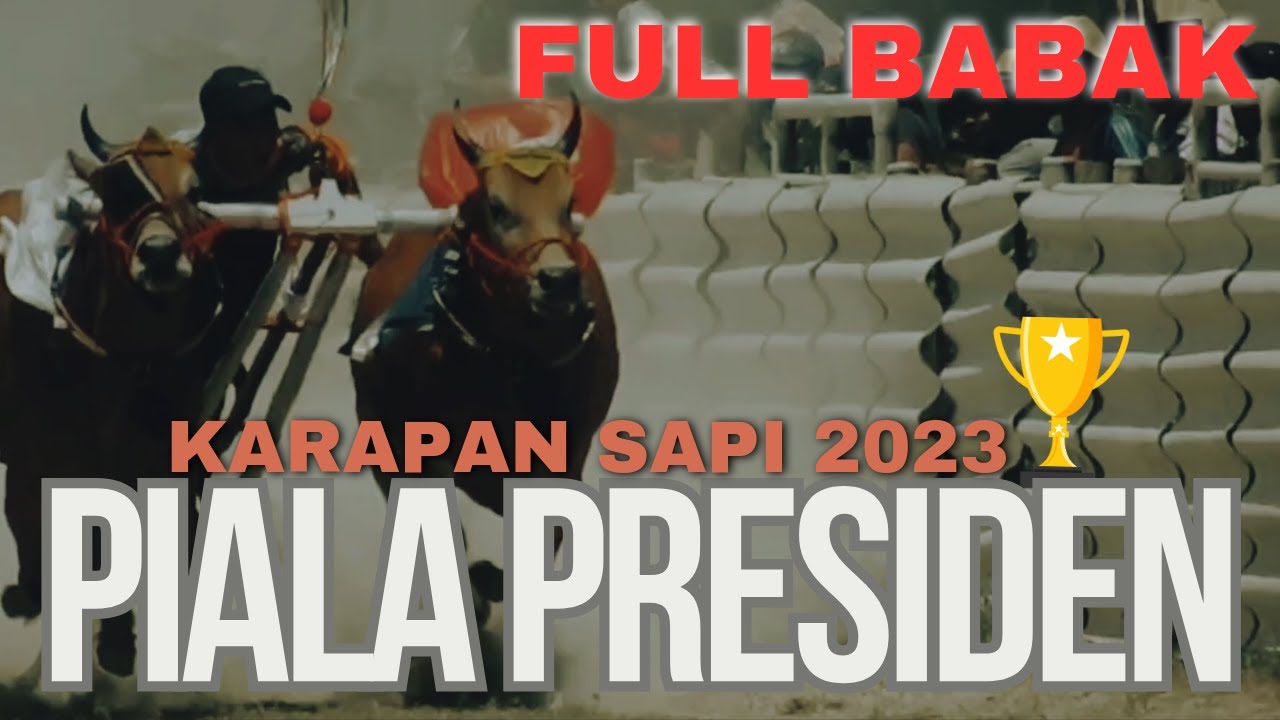 Karapan Sapi FULL RACES  - PIALA PRESIDEN 2023