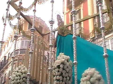 Antigua, Venerable Hermandad y Cofradía de Nazarenos de Nuestro Padre Jesús de la Soledad, Negaciones y Lágrimas de San Pedro, María Santísima del Dulce Nombre y San Francisco de Asís