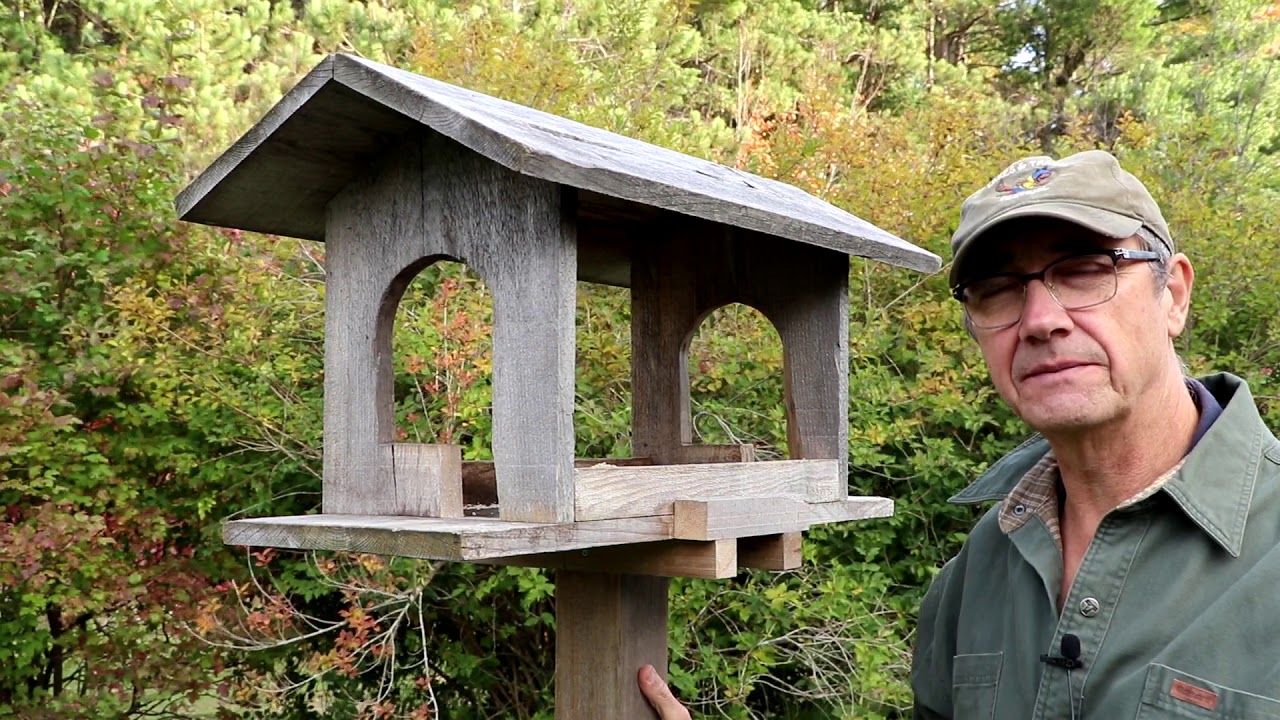 Bird Feeders and Feeding Wild Birds - (Part 1)