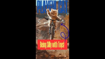 😂 Playful Cat Being Silly with Toys! #FunnyCats #CuteCats #PlayfulCat #CatVideo