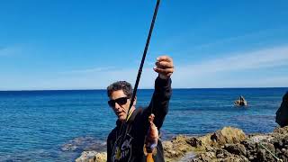 Ultima Pea Nel Nostro Favoloso Mare, Si Ritorna Dallaltra Parte Del Mondo. A Presto