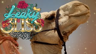 ASADI - Caspian {LeakyBliss Visual Video}
