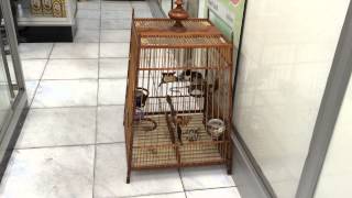 IMG 0692