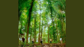 EFECTOS SECUNDARIOS - Grupo Selectivo