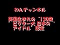 【わんチャンネル】英国生まれの“130歳”ビクター犬 日本の“アイドル”認定