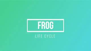 Life cycle