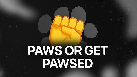 PAWS 🐾 Airdrop Updates: New Task Completed ✅ | Mystery Quests TODAY | Do This To Get 6k Paws Points