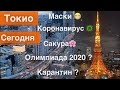 ЯПОНИЯ 2020 год  Влог из Токио 😷Маски N 95