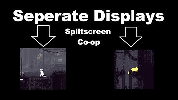 How to set up Multiplayer in Rainworld (With 2 Monitors)