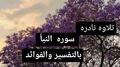 سورة النبأ | تلاوة خاشعة تهز القلوب 💔 بصوت جميل يريح القلب 🎧