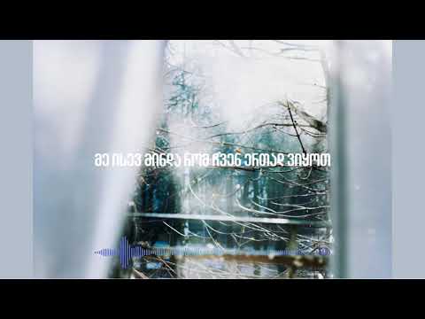 werili - shishveli xeebi / წერილი - შიშველი ხეები (lyrics)