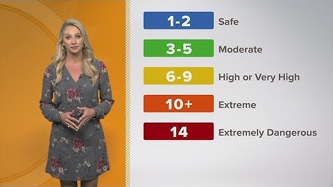 What is the UV Index?