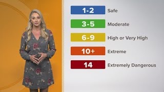 What is the UV Index?