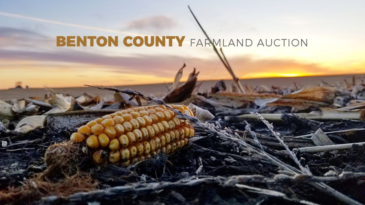 116.69 Acres M/L Farmland Auction Benton County, Iowa YouTube