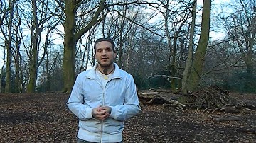 5 Tips to Get More Traffic to Your Blog