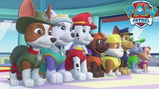 PAW Patrol Mighty Pups Save Adventure Bay (Gameplay)