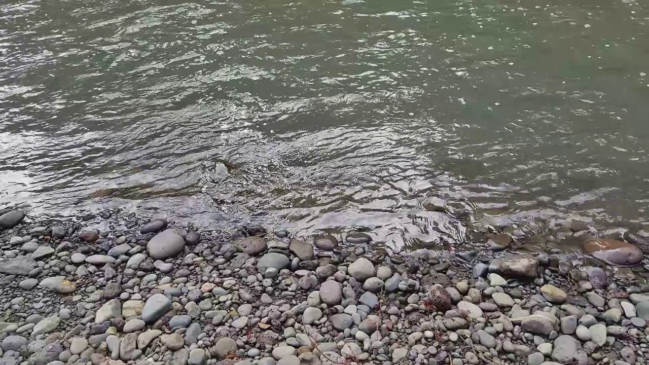 Donner und Blitzen wild and scenic river