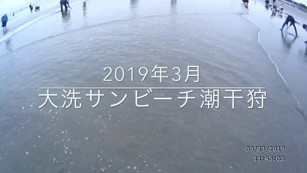 大洗サンビーチ海水浴場 茨城県大洗町 22年潮干狩り情報 Amatavi